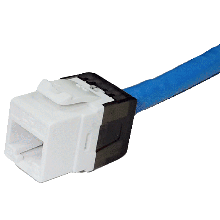 CAT 6 Modular Jack